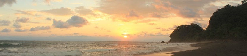 Why Surfing Makes You Feel&nbsp;Great